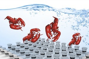 生蠔如何快速清洗？超聲波清洗機讓生蠔小龍蝦田螺大閘蟹更美味